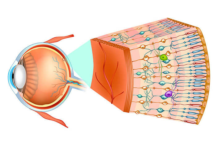 Retina Chart